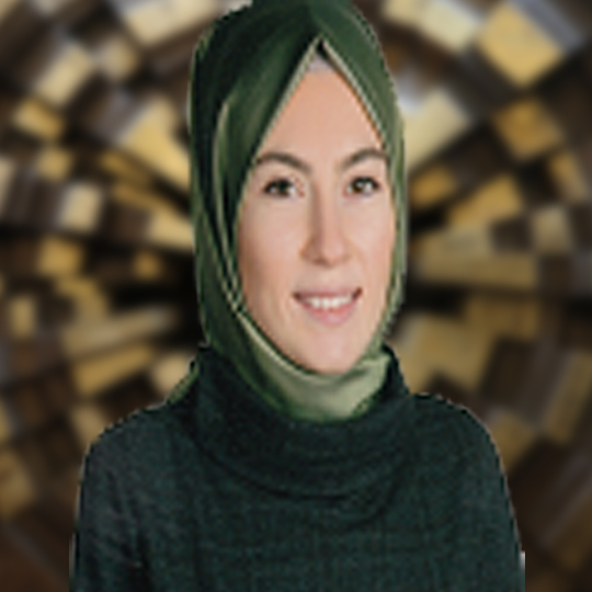 S. Simin Bayraktar