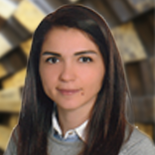 Didem Güneş
